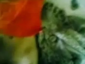 HAIRY PUSSY LATINA स ...