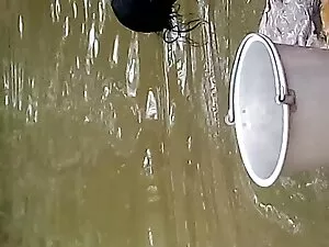 डार्लेन एनल ब्रासीलि ...