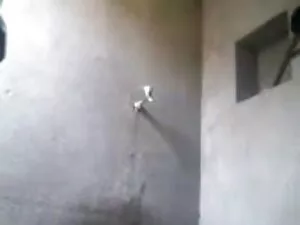 बीबीसी हिंदी में सेक ...