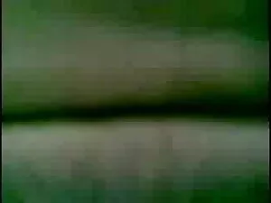 जीनत लाडू अंग्रेजी फ ...