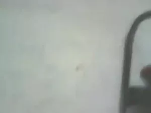 क्रिस्टी कैनियन - अम ...