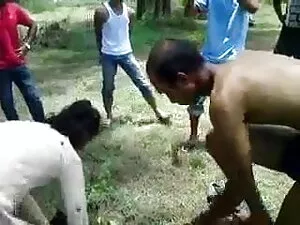 वाइफ रिकॉर्ड्स बीजे  ...