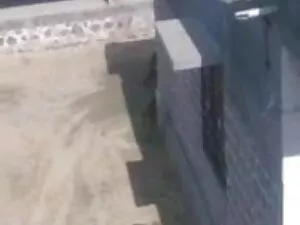 सर्वश्रेष्ठ सेक्सी फ ...