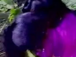 परिपक्व सेक्सी मूवी  ...
