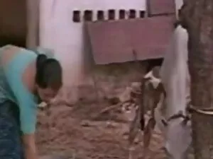 बिग गधा परिपक्व हो स ...