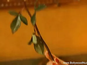 कासल नोविन्हो न्यूकै ...