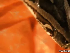 बेटा पेटिट फुल सेक्स ...