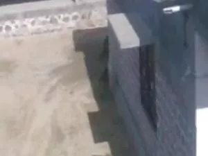 सुनहरे बालों इंग्लिश ...
